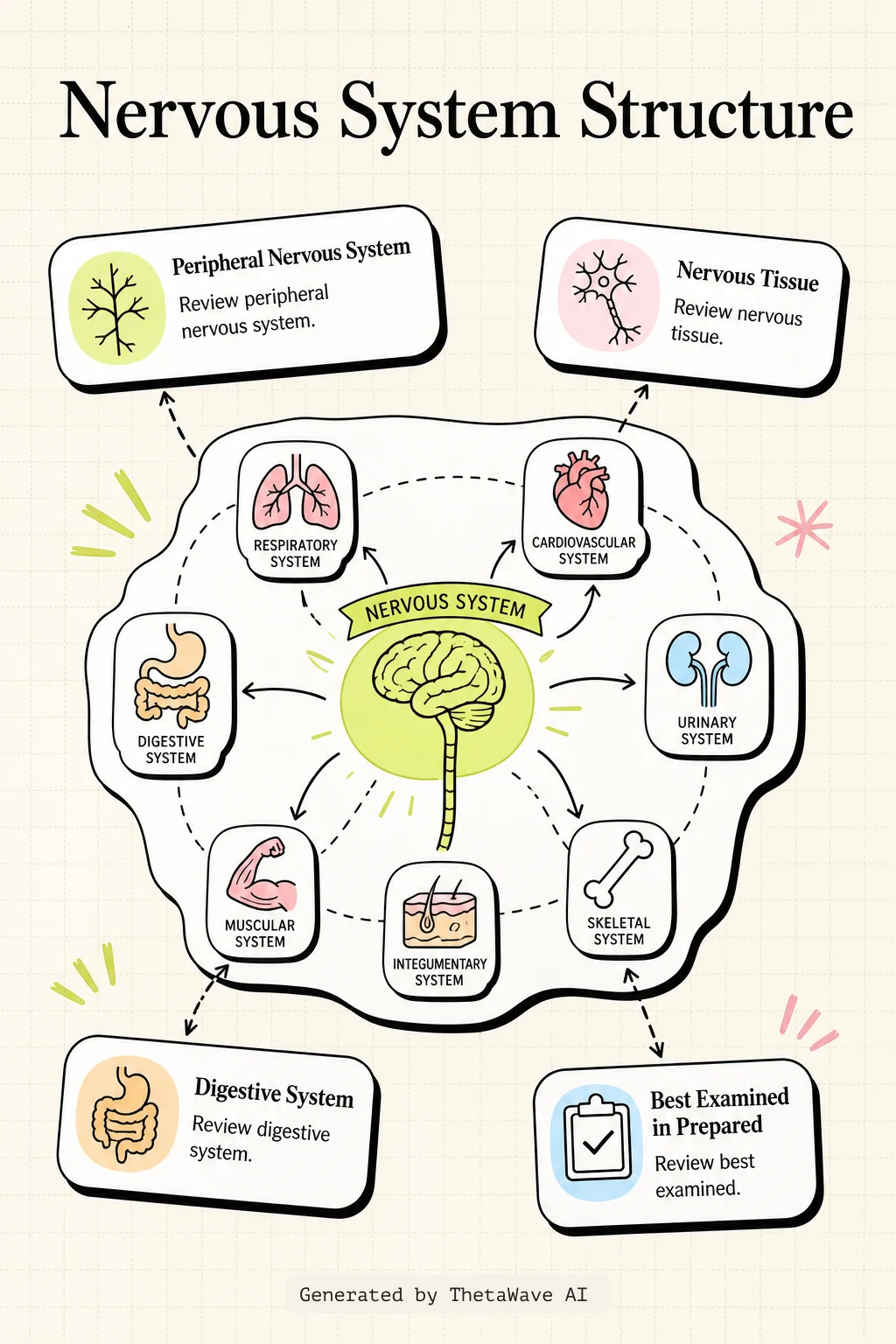 Anatomy and Physiology 2e: 12.1 Basic Structure and Function of the Nervous System的資訊圖